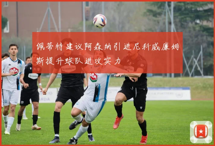 佩蒂特建议阿森纳引进尼科威廉姆斯提升球队进攻实力